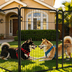8 Panels Metal Dog Playpen, 40" Height Dog Fence Exercise Pen with Doors for Large Medium Small Dogs Rabbits Cats, Foldable Pet Puppy Playpen for Indoor & Outdoor Yard